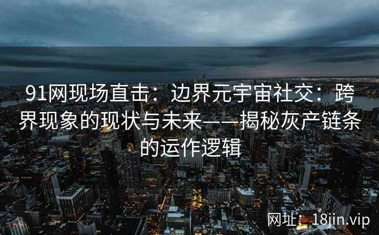 91网现场直击：边界元宇宙社交：跨界现象的现状与未来——揭秘灰产链条的运作逻辑