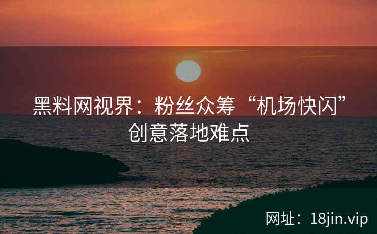 黑料网视界：粉丝众筹“机场快闪”创意落地难点