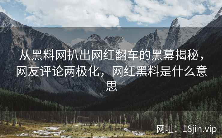 从黑料网扒出网红翻车的黑幕揭秘，网友评论两极化，网红黑料是什么意思