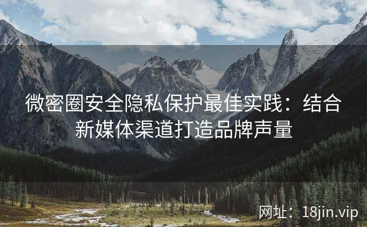 微密圈安全隐私保护最佳实践：结合新媒体渠道打造品牌声量