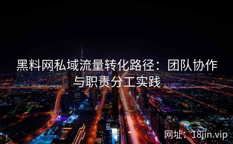 黑料网私域流量转化路径：团队协作与职责分工实践