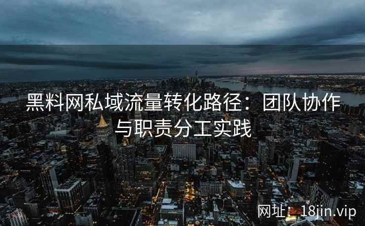 黑料网私域流量转化路径：团队协作与职责分工实践
