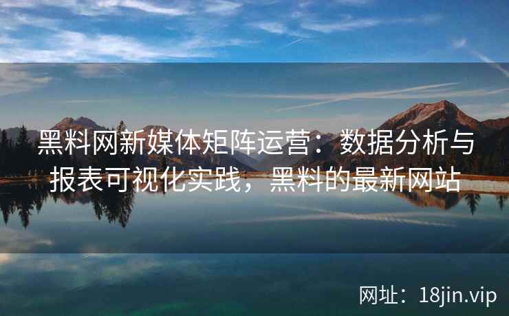 黑料网新媒体矩阵运营：数据分析与报表可视化实践，黑料的最新网站