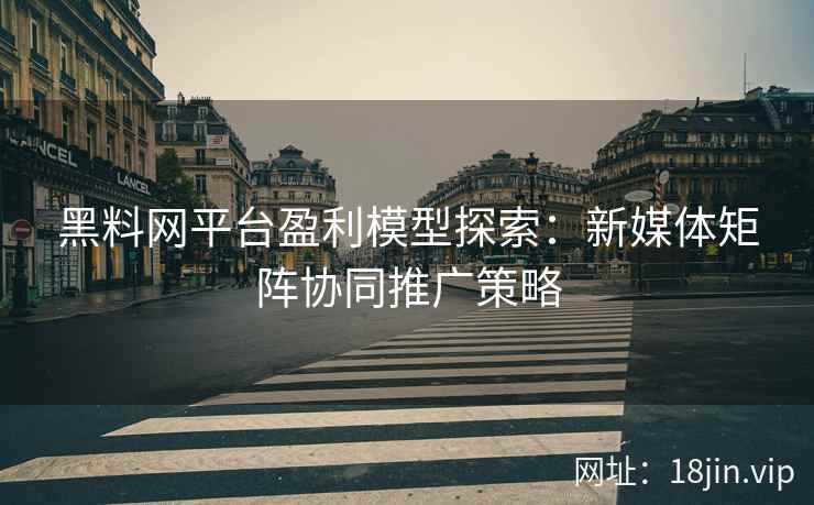 黑料网平台盈利模型探索：新媒体矩阵协同推广策略
