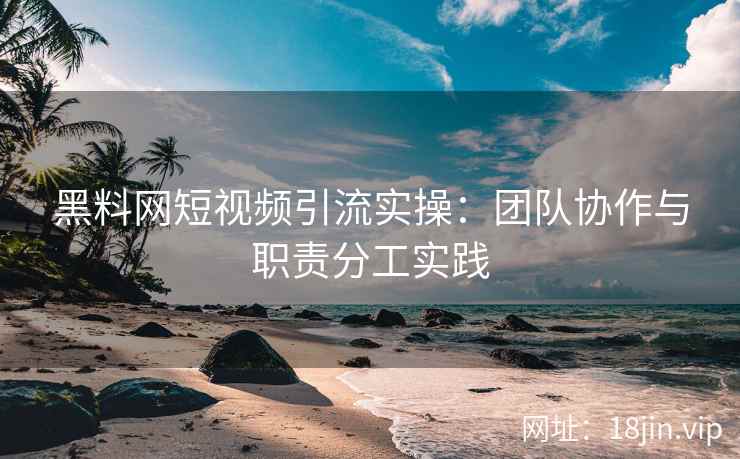 黑料网短视频引流实操：团队协作与职责分工实践